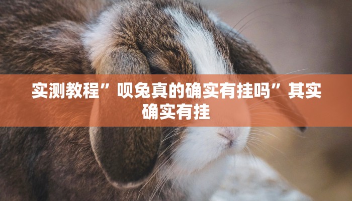 实测教程”呗兔真的确实有挂吗”其实确实有挂