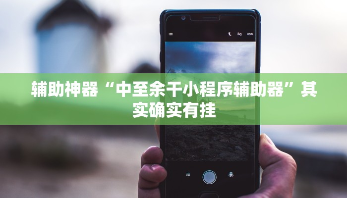 辅助神器“中至余干小程序辅助器”其实确实有挂