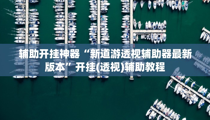 辅助开挂神器“新道游透视辅助器最新版本”开挂(透视)辅助教程