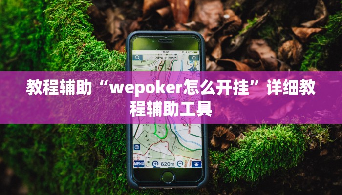 教程辅助“wepoker怎么开挂”详细教程辅助工具