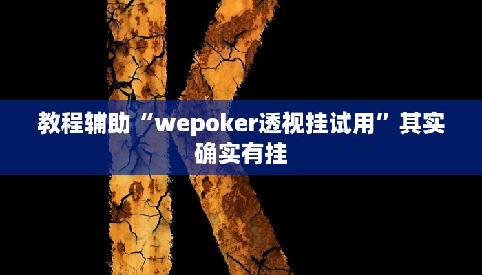 教程辅助“wepoker透视挂试用”其实确实有挂
