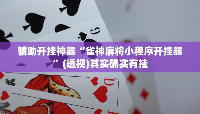 辅助开挂神器“雀神麻将小程序开挂器”(透视)其实确实有挂