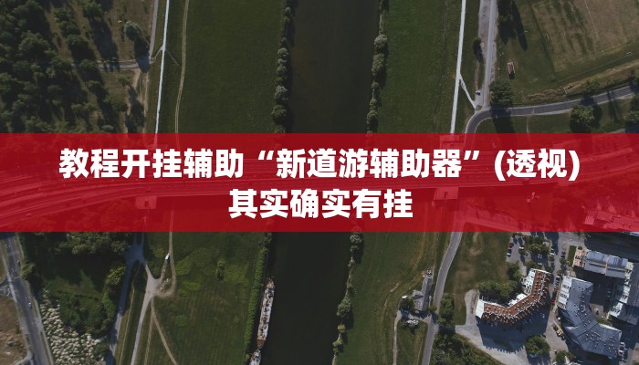 教程开挂辅助“新道游辅助器”(透视)其实确实有挂