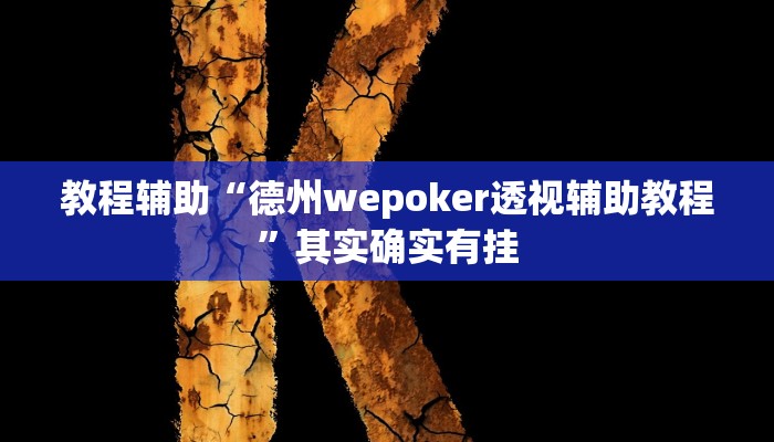 教程辅助“德州wepoker透视辅助教程”其实确实有挂