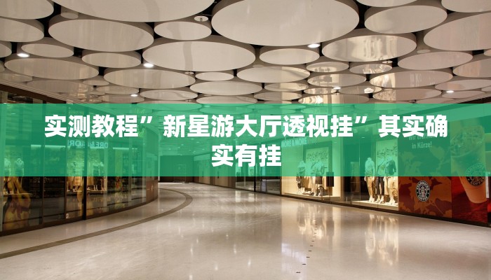 实测教程”新星游大厅透视挂”其实确实有挂