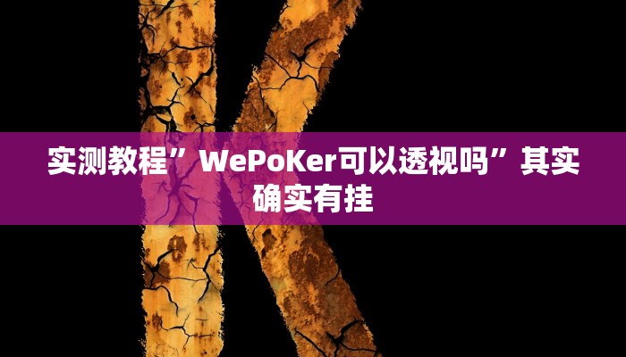 实测教程”WePoKer可以透视吗”其实确实有挂