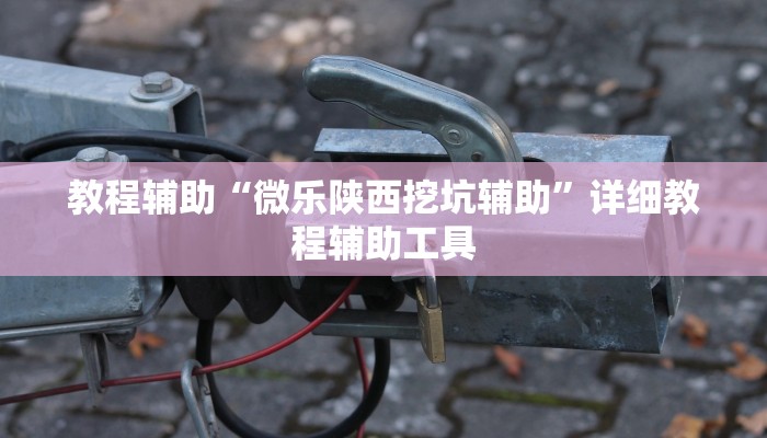 教程辅助“微乐陕西挖坑辅助”详细教程辅助工具