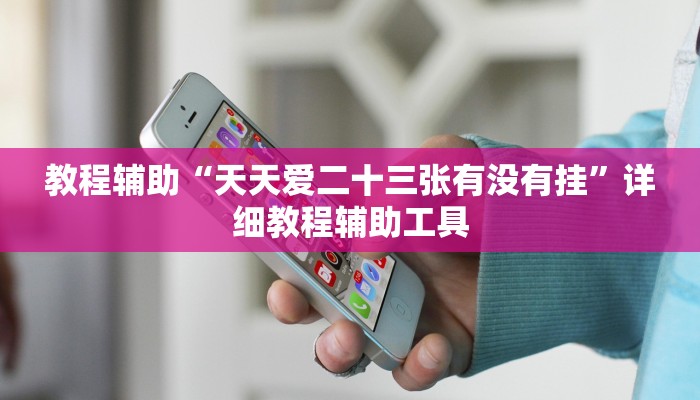 教程辅助“天天爱二十三张有没有挂”详细教程辅助工具