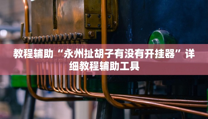 教程辅助“永州扯胡子有没有开挂器”详细教程辅助工具