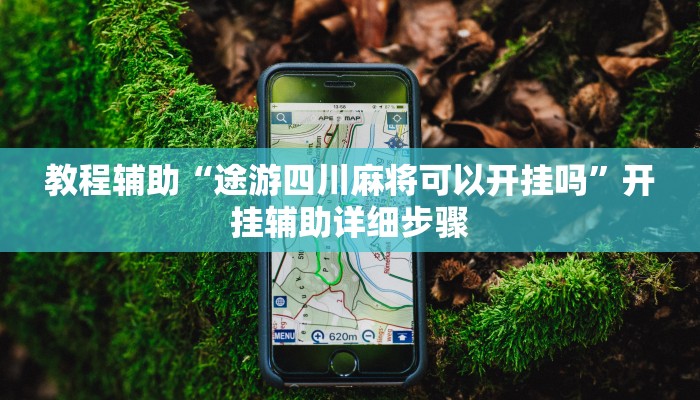 教程辅助“途游四川麻将可以开挂吗”开挂辅助详细步骤