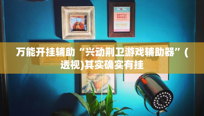 万能开挂辅助“兴动荆卫游戏辅助器”(透视)其实确实有挂