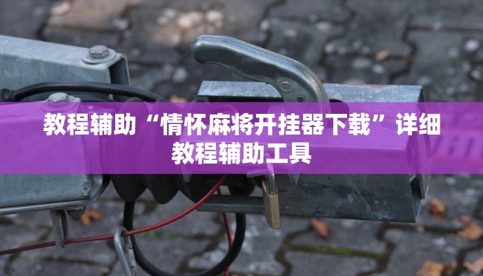 教程辅助“情怀麻将开挂器下载”详细教程辅助工具