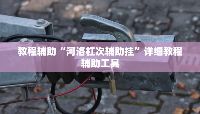 教程辅助“河洛杠次辅助挂”详细教程辅助工具