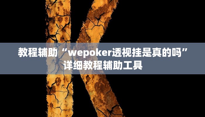 教程辅助“wepoker透视挂是真的吗”详细教程辅助工具