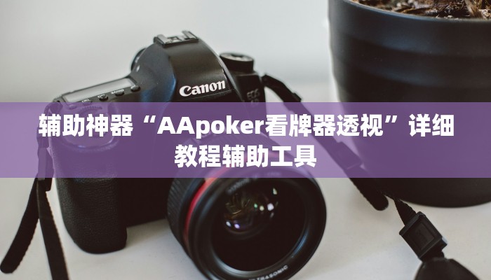 辅助神器“AApoker看牌器透视”详细教程辅助工具