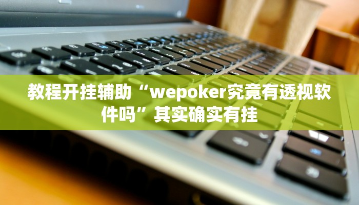 教程开挂辅助“wepoker究竟有透视软件吗”其实确实有挂