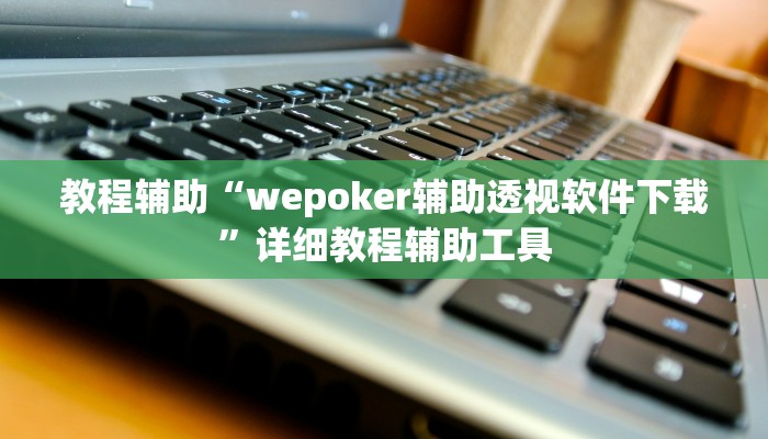教程辅助“wepoker辅助透视软件下载”详细教程辅助工具