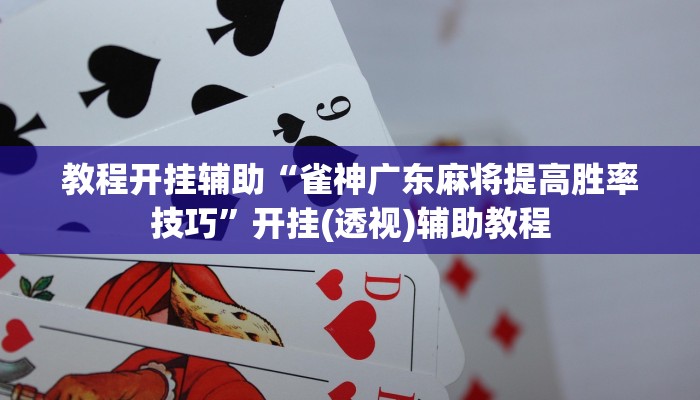教程开挂辅助“雀神广东麻将提高胜率技巧”开挂(透视)辅助教程