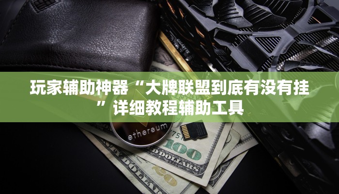 玩家辅助神器“大牌联盟到底有没有挂”详细教程辅助工具