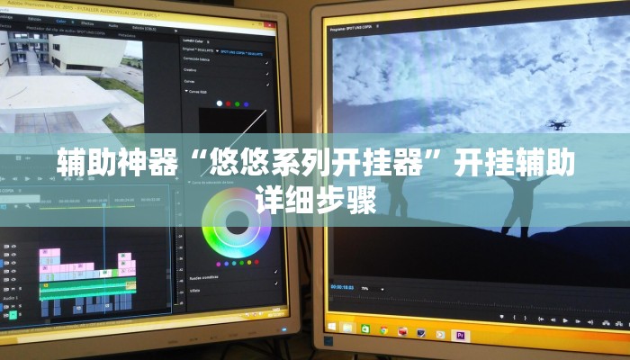 辅助神器“悠悠系列开挂器”开挂辅助详细步骤