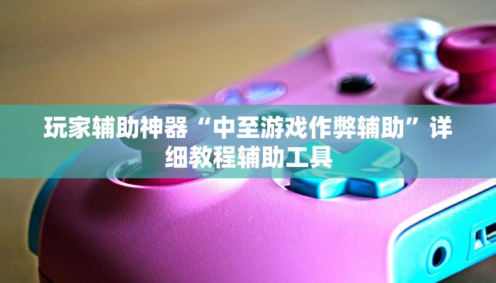 玩家辅助神器“中至游戏作弊辅助”详细教程辅助工具