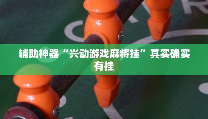 辅助神器“兴动游戏麻将挂”其实确实有挂