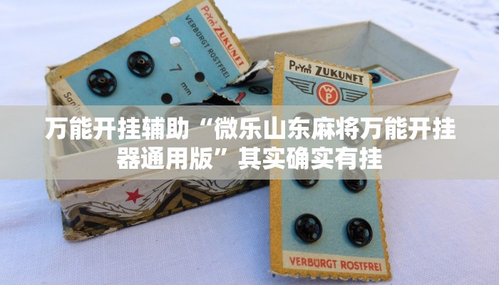 万能开挂辅助“微乐山东麻将万能开挂器通用版”其实确实有挂