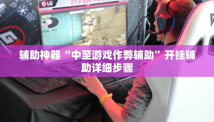 辅助神器“中至游戏作弊辅助”开挂辅助详细步骤