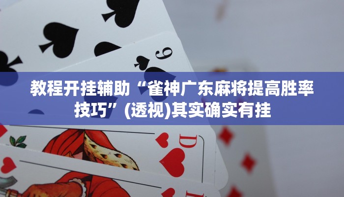 教程开挂辅助“雀神广东麻将提高胜率技巧”(透视)其实确实有挂