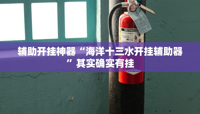 辅助开挂神器“海洋十三水开挂辅助器”其实确实有挂