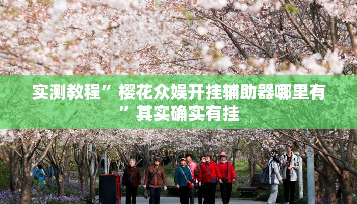 实测教程”樱花众娱开挂辅助器哪里有”其实确实有挂