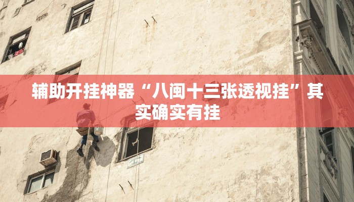 辅助开挂神器“八闽十三张透视挂”其实确实有挂