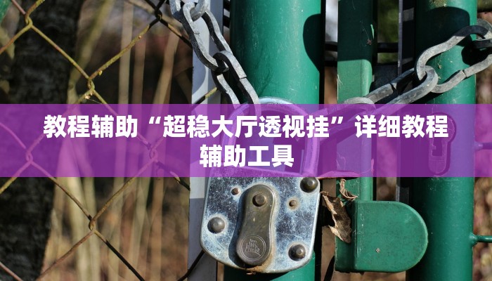 教程辅助“超稳大厅透视挂”详细教程辅助工具