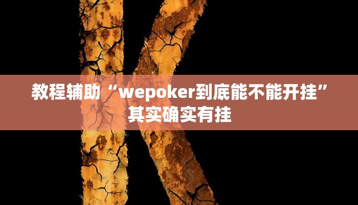 教程辅助“wepoker到底能不能开挂”其实确实有挂
