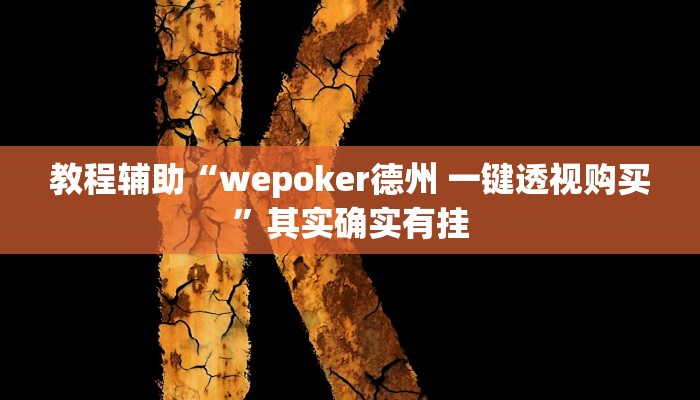 教程辅助“wepoker德州 一键透视购买”其实确实有挂