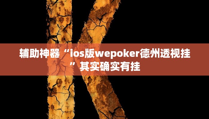辅助神器“ios版wepoker德州透视挂”其实确实有挂