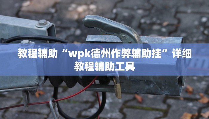 教程辅助“wpk德州作弊辅助挂”详细教程辅助工具