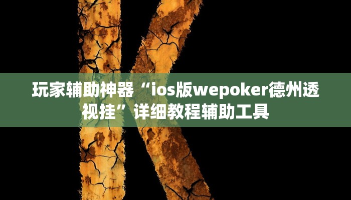 玩家辅助神器“ios版wepoker德州透视挂”详细教程辅助工具