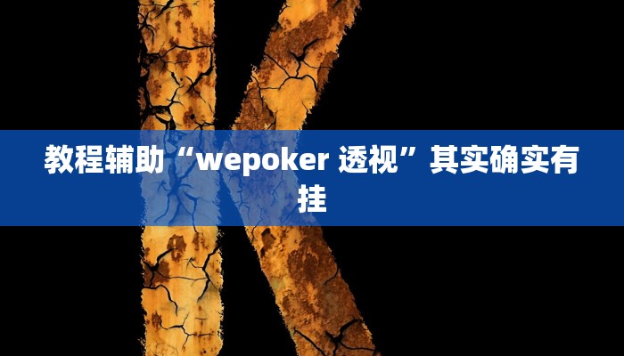 教程辅助“wepoker 透视”其实确实有挂