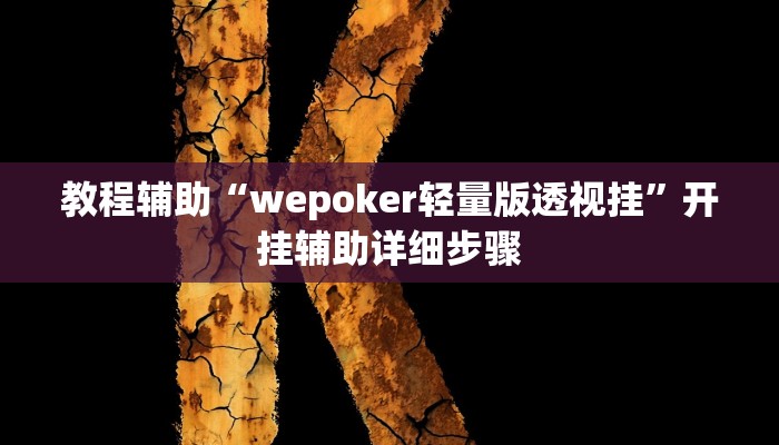 教程辅助“wepoker轻量版透视挂”开挂辅助详细步骤