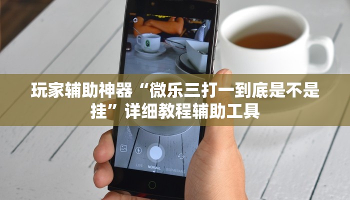 玩家辅助神器“微乐三打一到底是不是挂”详细教程辅助工具
