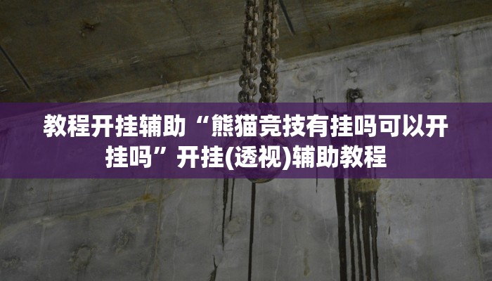 教程开挂辅助“熊猫竞技有挂吗可以开挂吗”开挂(透视)辅助教程