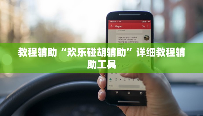 教程辅助“欢乐碰胡辅助”详细教程辅助工具