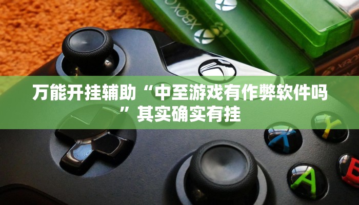 万能开挂辅助“中至游戏有作弊软件吗”其实确实有挂