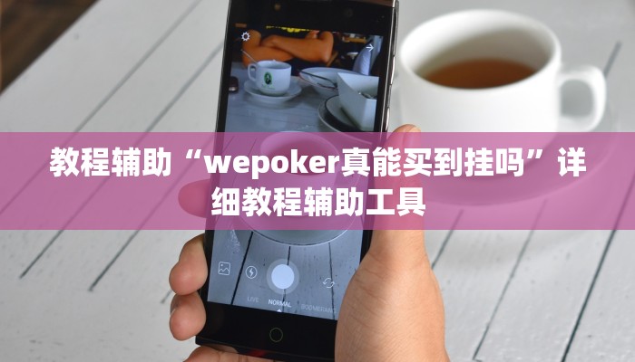 教程辅助“wepoker真能买到挂吗”详细教程辅助工具