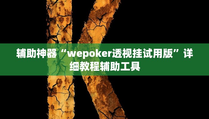 辅助神器“wepoker透视挂试用版”详细教程辅助工具