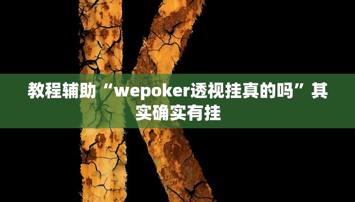 教程辅助“wepoker透视挂真的吗”其实确实有挂