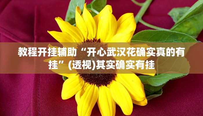 教程开挂辅助“开心武汉花确实真的有挂”(透视)其实确实有挂