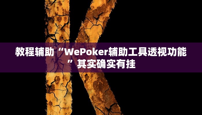 教程辅助“WePoker辅助工具透视功能”其实确实有挂