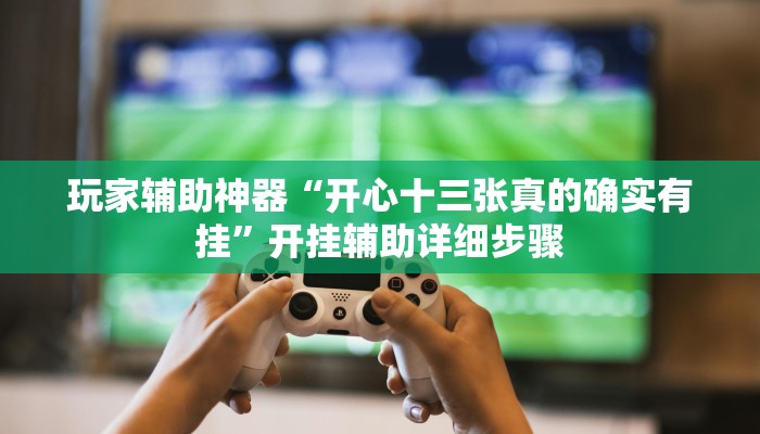 玩家辅助神器“开心十三张真的确实有挂”开挂辅助详细步骤